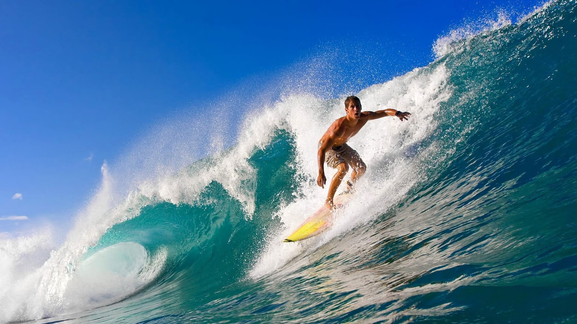 米兰体育官网-赛季末冲刺:哪些球队有望登顶冠军排名?,球队冠军总数最多