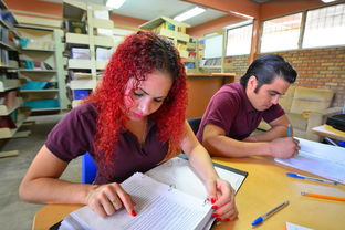 AC米兰新闻-高校体育课分层教学实施成效调研,体育分层教学的策略与方法探讨